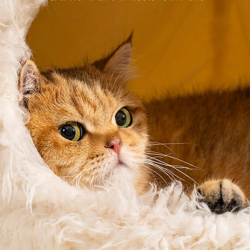 Maison Purr™ Cozy Cat House – Ultra-Soft Comfort | Free Shipping